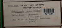 Image Associated With the Occurence